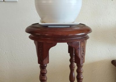 White Ceramic Pot with Plant